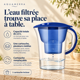 Carafe filtrante 2,5 L